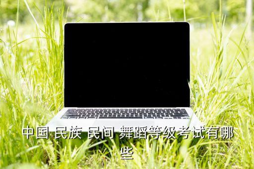 民族民间舞蹈五级,中国民族民间舞蹈考级第一批新生代表