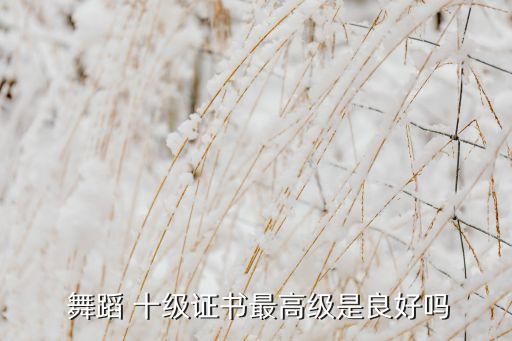 十级舞蹈斜,北京舞蹈学院中国舞蹈培训系统出版教材