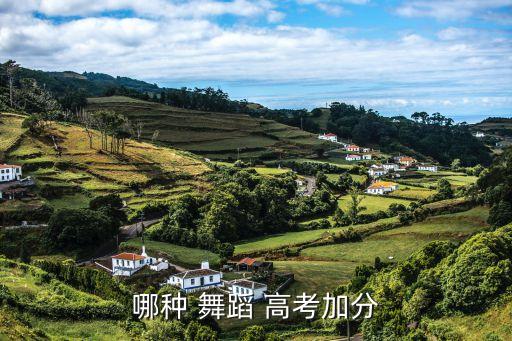 舞蹈在中高考中加分不,舞蹈不在高考加分范围内