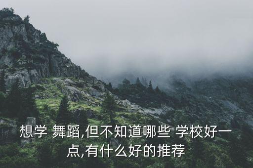 想学 舞蹈,但不知道哪些 学校好一点,有什么好的推荐