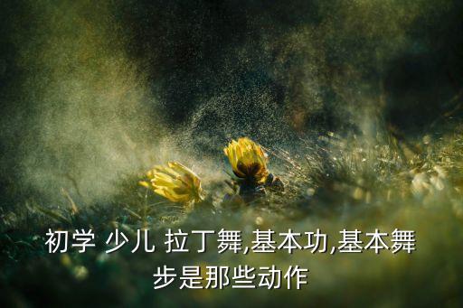 初学 少儿 拉丁舞,基本功,基本舞步是那些动作