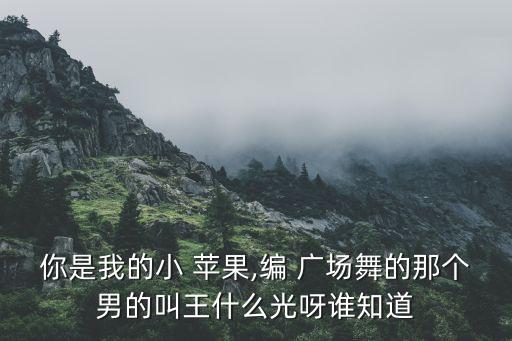 你是我的小 苹果,编 广场舞的那个男的叫王什么光呀谁知道