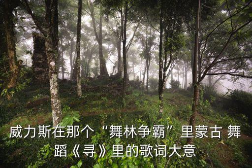 威力斯在那个“舞林争霸”里蒙古 舞蹈《寻》里的歌词大意