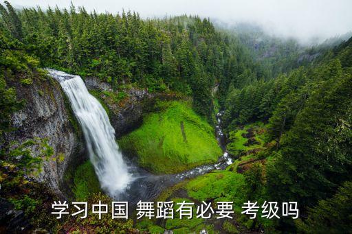 学习中国 舞蹈有必要 考级吗