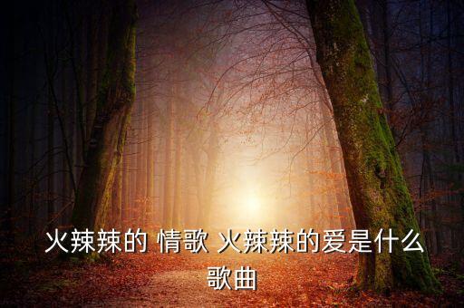  火辣辣的 情歌 火辣辣的爱是什么歌曲