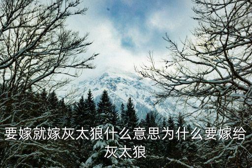 要嫁就嫁灰太狼什么意思为什么要嫁给灰太狼