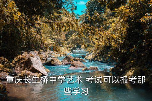 重庆长生桥中学艺术 考试可以报考那些学习