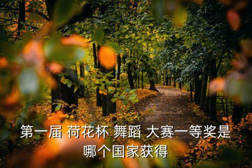 第九届荷花杯舞蹈大赛投票,中国舞蹈荷花奖