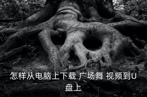 广场舞蹈视频,如何在电脑上下载广场舞蹈视频?
