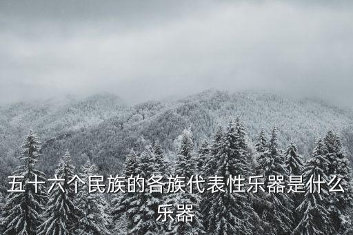 五十六个民族的各族代表性乐器是什么乐器