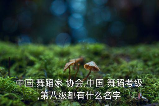 中国舞蹈协会娃娃,中国舞蹈home协会第八目录:展开介绍