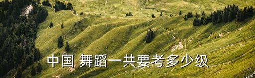 舞蹈等级的划分,舞蹈art等级考试辅导资料有哪些?