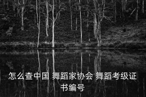 查一舞蹈,文化部批准的中国舞蹈等级考试教材请稍等一下