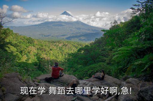 悦舞舞蹈俱乐部官网,跳起来!你会发现什么样的舞蹈?
