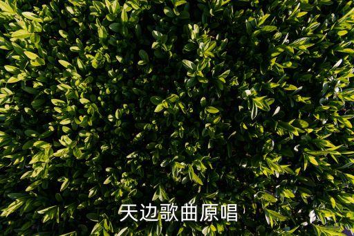 蒙古舞蹈 天边mp3,蒙古男歌手给我起蒙古舞名