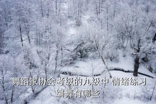  舞蹈家协会考级的九级中 情绪练习编舞有哪些