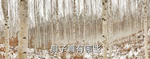 双人扇子舞蹈  轻舞飞扬,扇子舞蹈表达内心喜悦