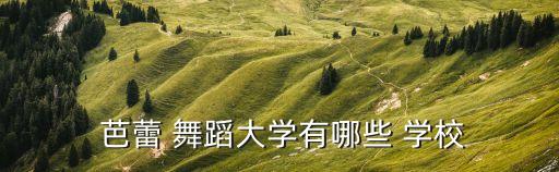  芭蕾 舞蹈大学有哪些 学校