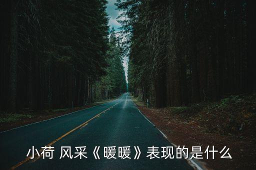  小荷 风采《暖暖》表现的是什么