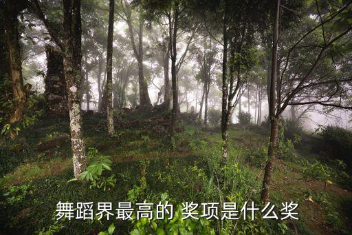  舞蹈界最高的 奖项是什么奖