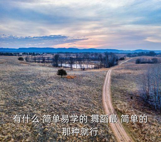 有什么 简单易学的 舞蹈最 简单的那种就行