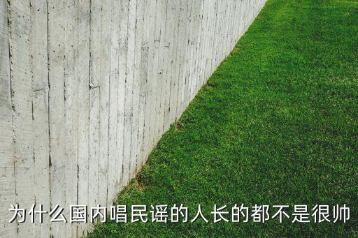 为什么国内唱民谣的人长的都不是很帅