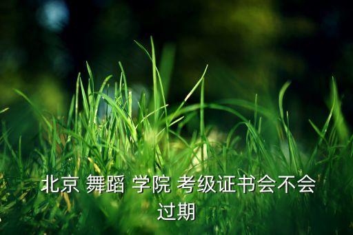 北京舞蹈学院舞蹈考级,北京舞蹈学院（北京音乐学院）介绍