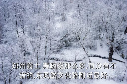郑州最好的舞蹈室,文礼坊舞蹈学校太差!建议去正规的舞蹈机构