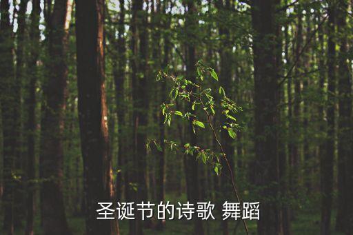  圣诞节的诗歌 舞蹈