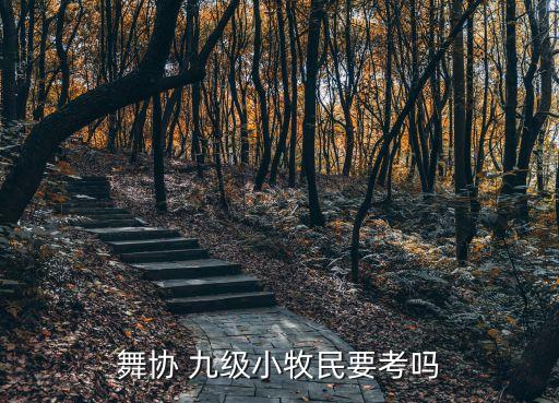 舞协 九级小牧民要考吗
