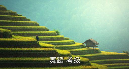  舞蹈 考级