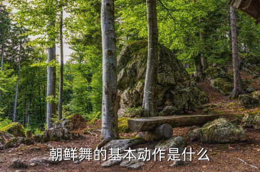 男舞蹈教学分解动作,朝鲜族舞蹈分两类以动作为主