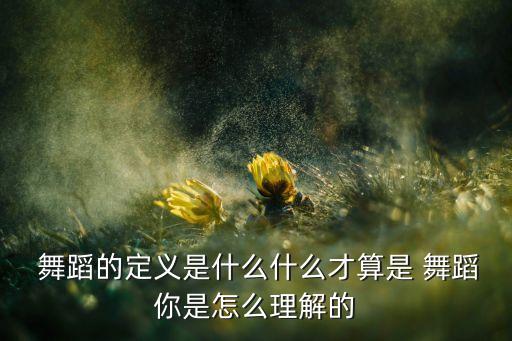  舞蹈的定义是什么什么才算是 舞蹈你是怎么理解的