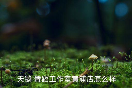 天鹅 舞蹈工作室黄浦店怎么样