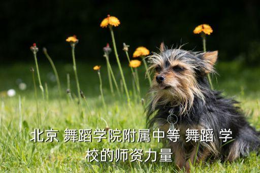 北京舞蹈学校中学,北京最好私企学校三所学校毕业