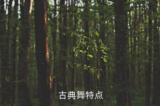 古典舞蹈视频双人舞,关于古典舞蹈的三个问题