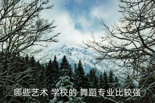 湖南有舞蹈系的学校,舞蹈院系高校有北京师范大学等十所大学