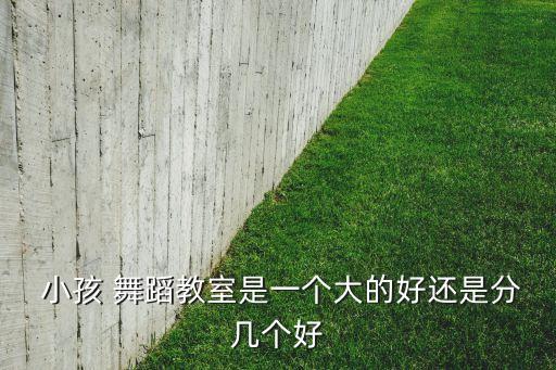  小孩 舞蹈教室是一个大的好还是分几个好
