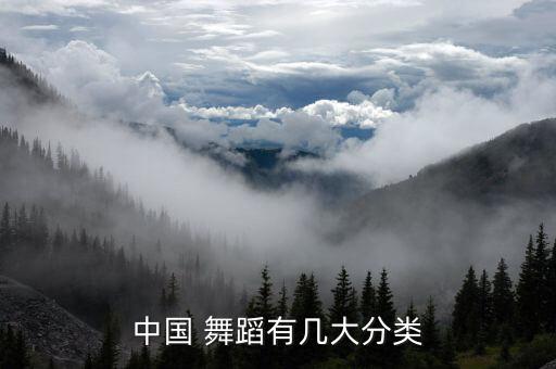 中国 舞蹈有几大分类