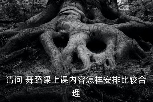 请问 舞蹈课上课内容怎样安排比较合理