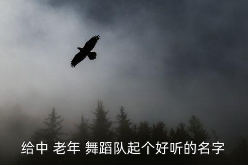 给中 老年 舞蹈队起个好听的名字