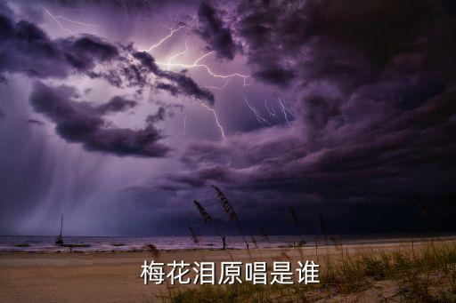  梅花泪原唱是谁