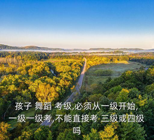 孩子 舞蹈 考级,必须从一级开始,一级一级考,不能直接考 三级或四级吗