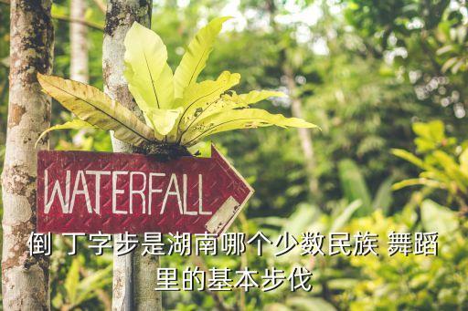 倒 丁字步是湖南哪个少数民族 舞蹈里的基本步伐