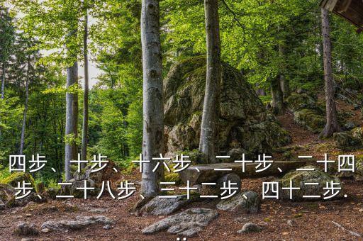 四步、十步、十六步、二十步、二十四步、二十八步、三十二步、四十二步...