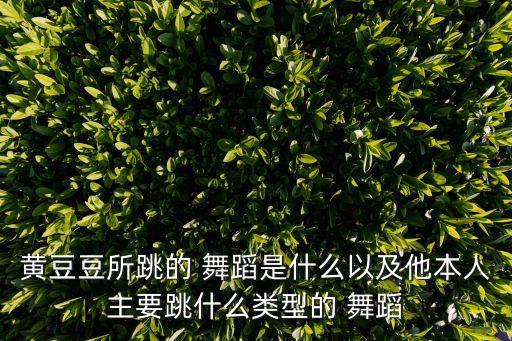秦俑魂舞蹈赏析400字,中国最男性化舞者黄豆豆表演艺术成熟