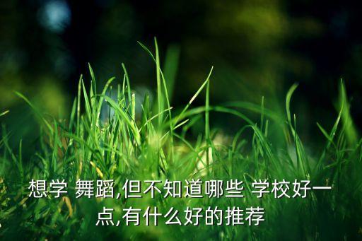 想学 舞蹈,但不知道哪些 学校好一点,有什么好的推荐