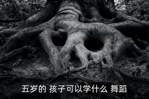 五岁的 孩子可以学什么 舞蹈