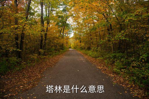  塔林是什么意思