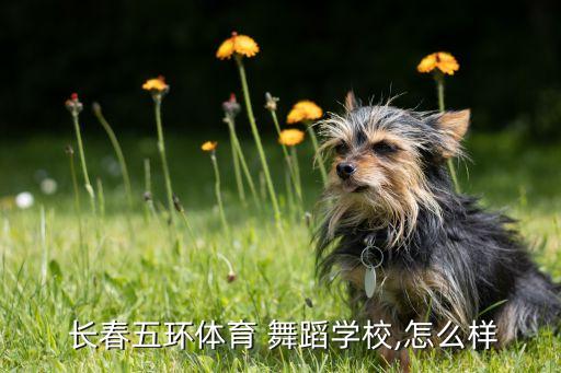  长春五环体育 舞蹈学校,怎么样